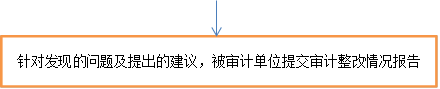 针对发现的问题及提出的建议，被审计单位提交审计整改情况报告
