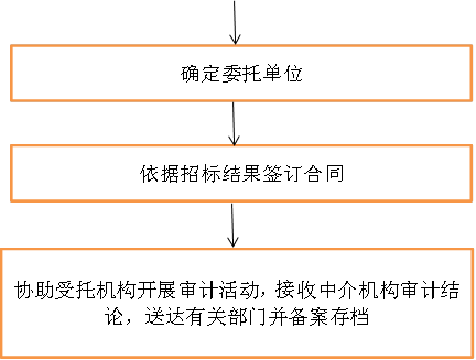 确定委托单位,依据招标结果签订合同,协助受托机构开展审计活动，接收中介机构审计结论，送达有关部门并备案存档